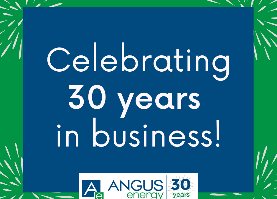 Celebrating 30 years in business